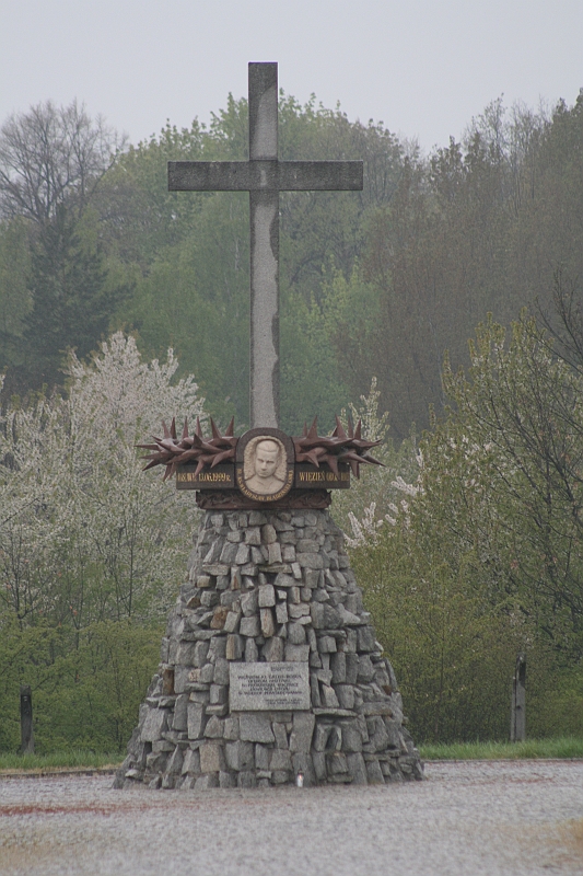 a 026